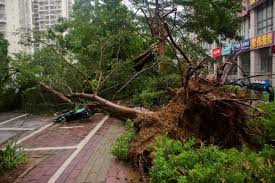 الصين: مقتل 5 أشخاص وإصابة 33 إثر إعصار قوي 