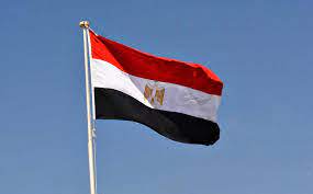  مصر تعلن دعم دعوى جنوب أفريقيا ضد إسرائيل أمام محكمة العدل الدولية