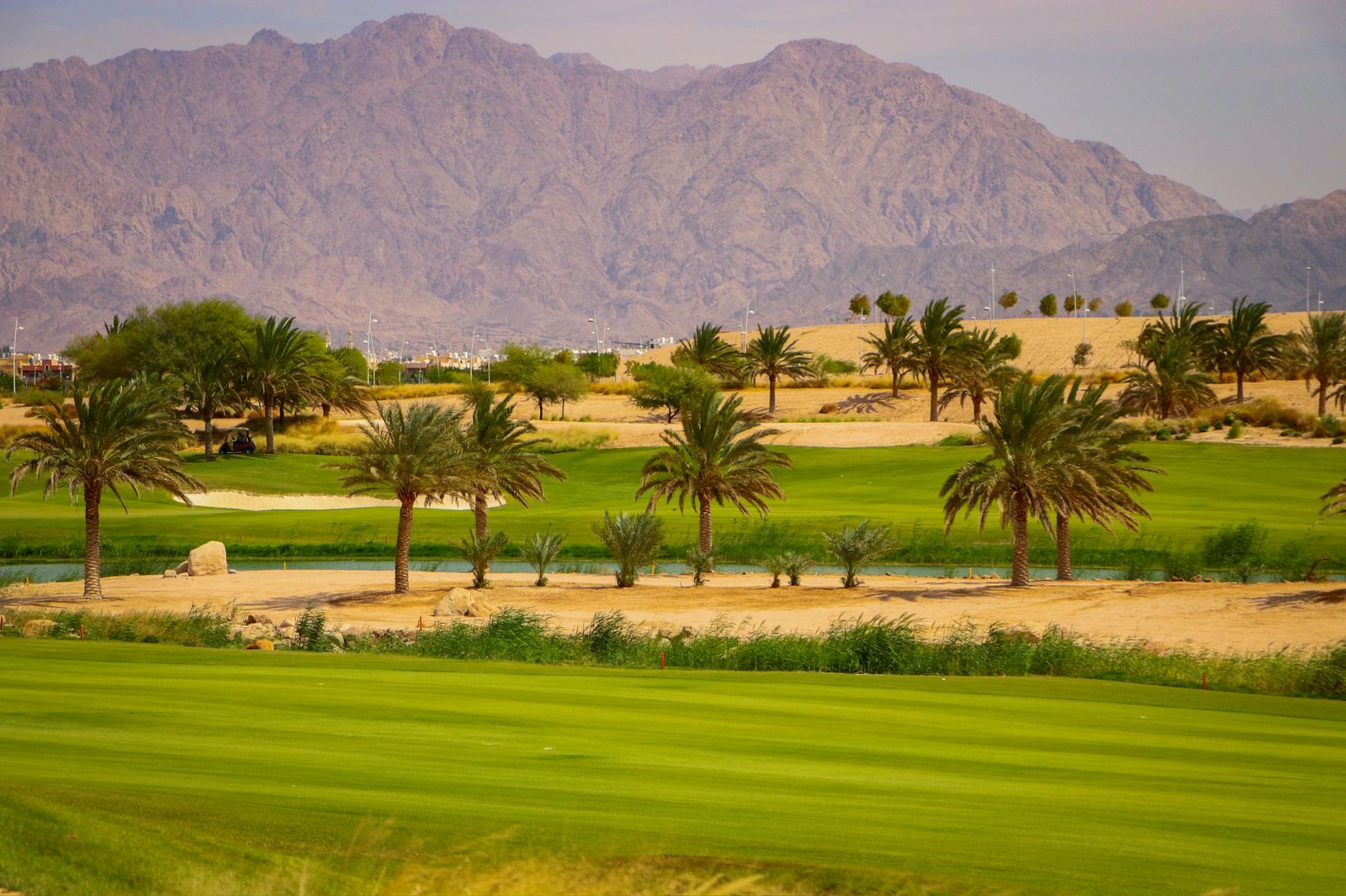 بطولة الأردن المفتوحة للجولف فرصة مثالية للترويج للعقبة سياحيا