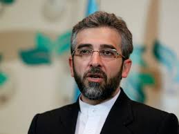 عاجل- الحكومة الإيرانية تعين علي باقري وزيرا للخارجية بدلا من عبد اللهيان