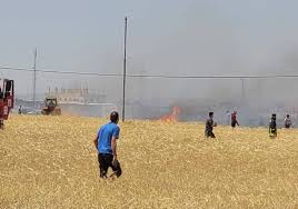 عاجل - إخماد حريق بأحد حقول القمح في إربد
