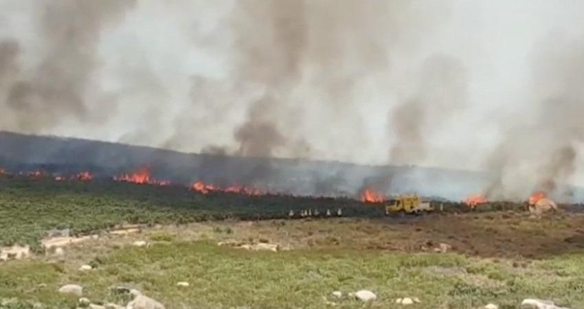 مستوطنون يحرقون محاصيل زراعية لفلسطينيين جنوب الخليل
