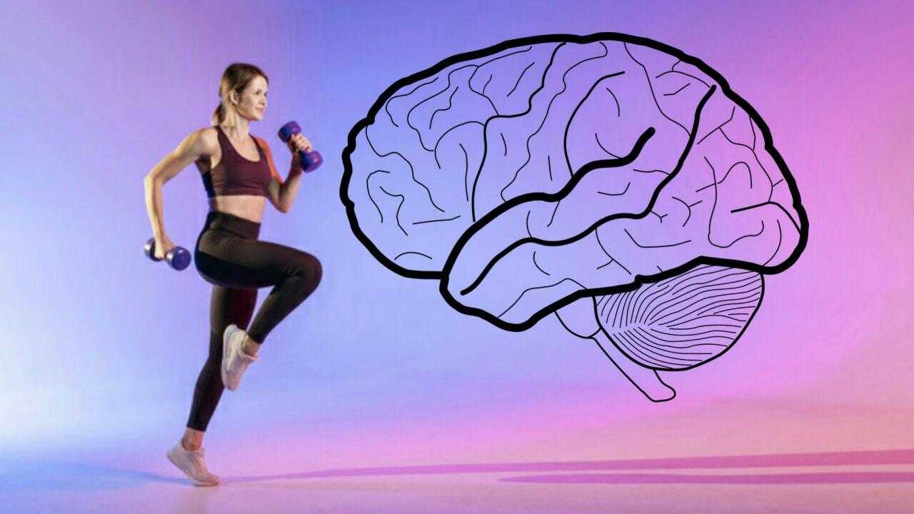 3 تمارين رياضية لنمو خلايا دماغية جديدة