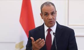 مصر والأمم المتحدة تبحثان تطورات الأوضاع في الأراضي الفلسطينية المحتلة