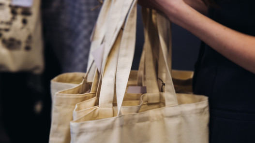 للمحافظة على البيئة… مجلس الوزراء يقرر إعفاء قماش الأكياس البيئية من الضرائب والرسوم الجمركية