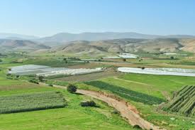 زراعة البادية الشمالية الغربية تدعو لاتخاذ إجراءات احترازية خلال المنخفض الجوي