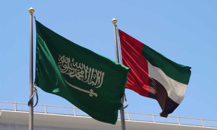 مصر تؤكد قدرة السعودية والإمارات على التعامل بحكمة في اليمن