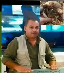 عاطف أبو حجر يكتب:فطر زمان