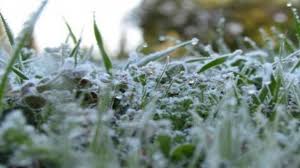 دعوة للمزارعين للتحوط من تشكل الصقيع