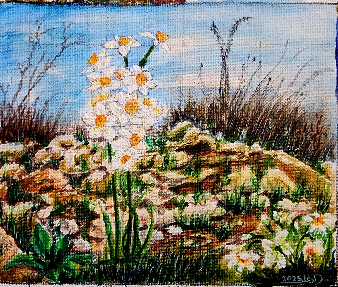  د. وليد العريض يكتب: فتيات النَّرْجِس والرَّنْجِس: سلفيت، السلط، عجلون لوحة: الفنان محمد الدغليس