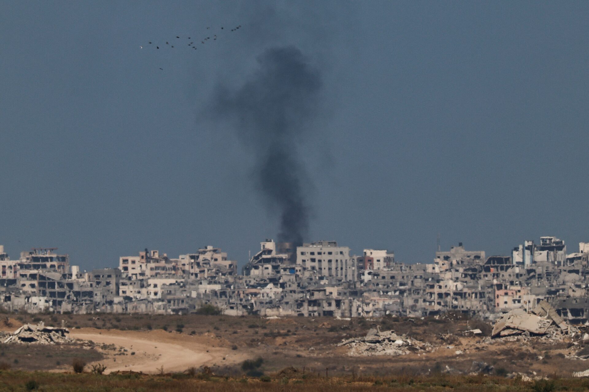 الأسبوع المقبل.. ترامب يخطط للكشف عن مجلس السلام في غزة