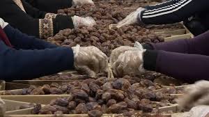 عاجل  الغذاء والدواء تغلق مصنع تعبئة تمور غير مرخص