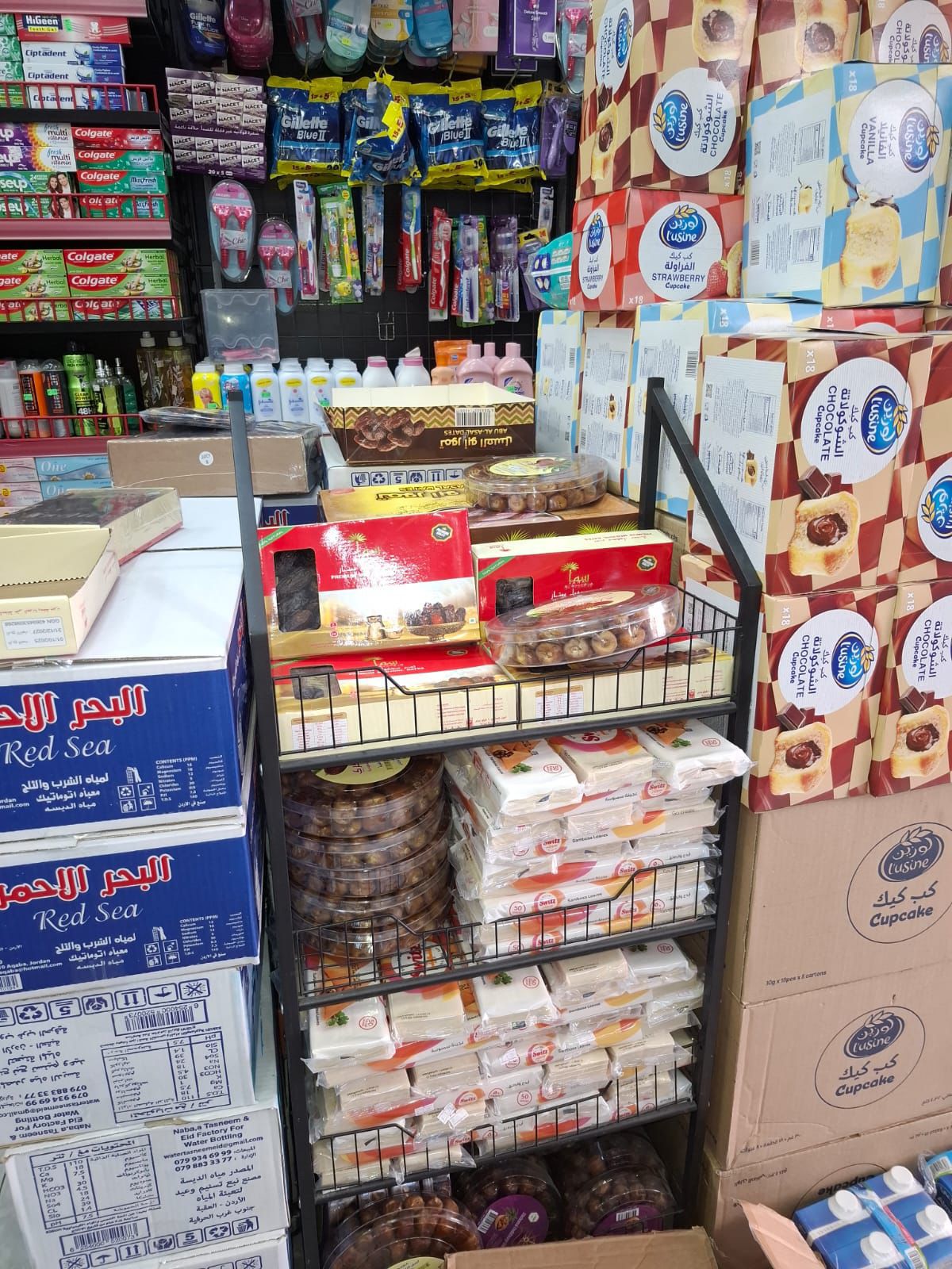 الرفوع : السلامة الغذائية وحماية صحة المواطنين اولويتنا الاولى