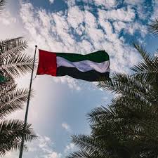 الإمارات: تفكيك شبكة إرهابية تتبع حزب الله في لبنان وإيران