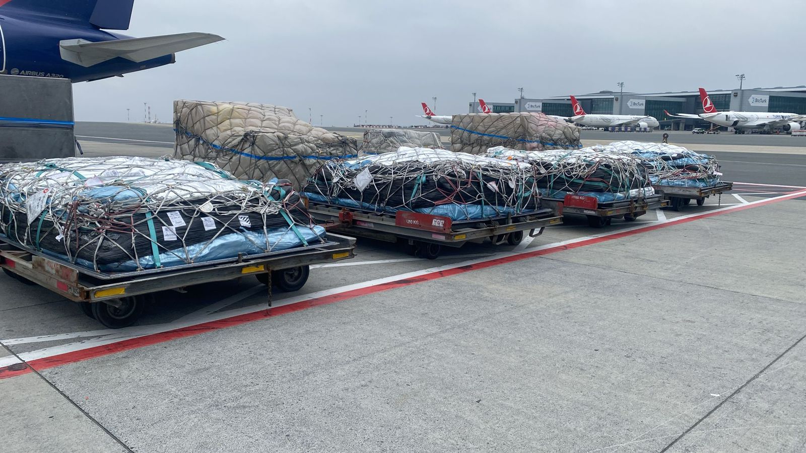 عاجل  وصول شحنات لحوم إلى الأردن بالتعاون بين شركة حول العالم لتجارة اللحوم والملكية الأردنية وعدد من الجهات الرسمية (تفاصيل)