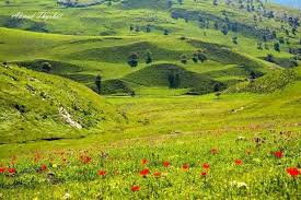 فلكيا.. الأردن يستقبل فصل الربيع