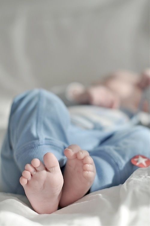 بهاء ونور صوالحه مبارك قدوم وسام